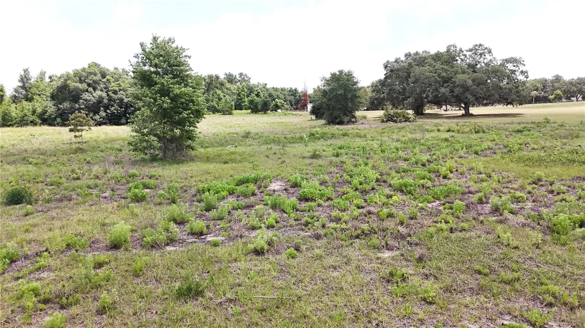 Sonoma Ridge Road Clermont FL 34715