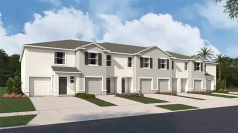 31146 Paper Birch Street Wesley Chapel FL 33545