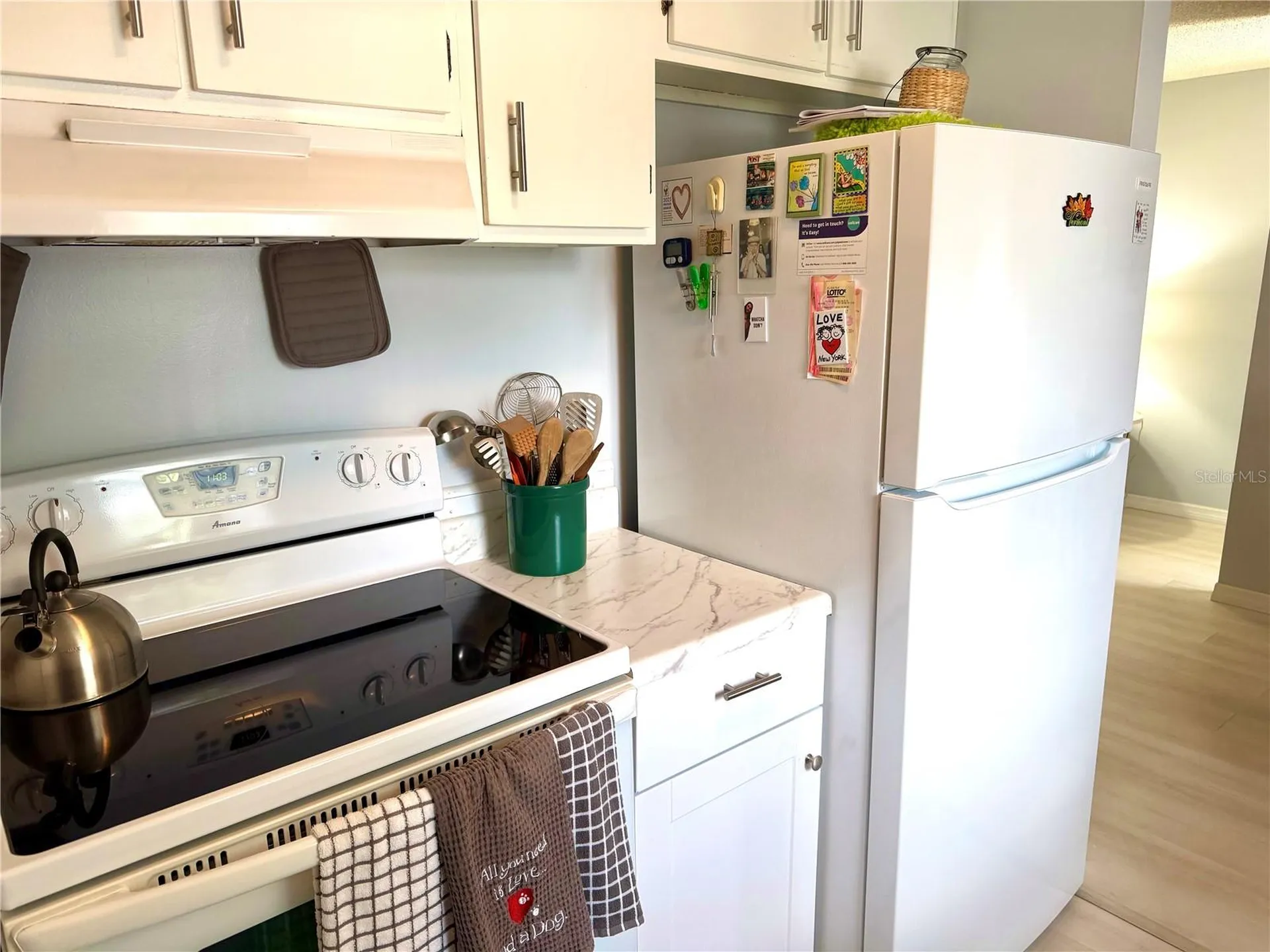 1026 83rd Terrace N St Petersburg FL 33702