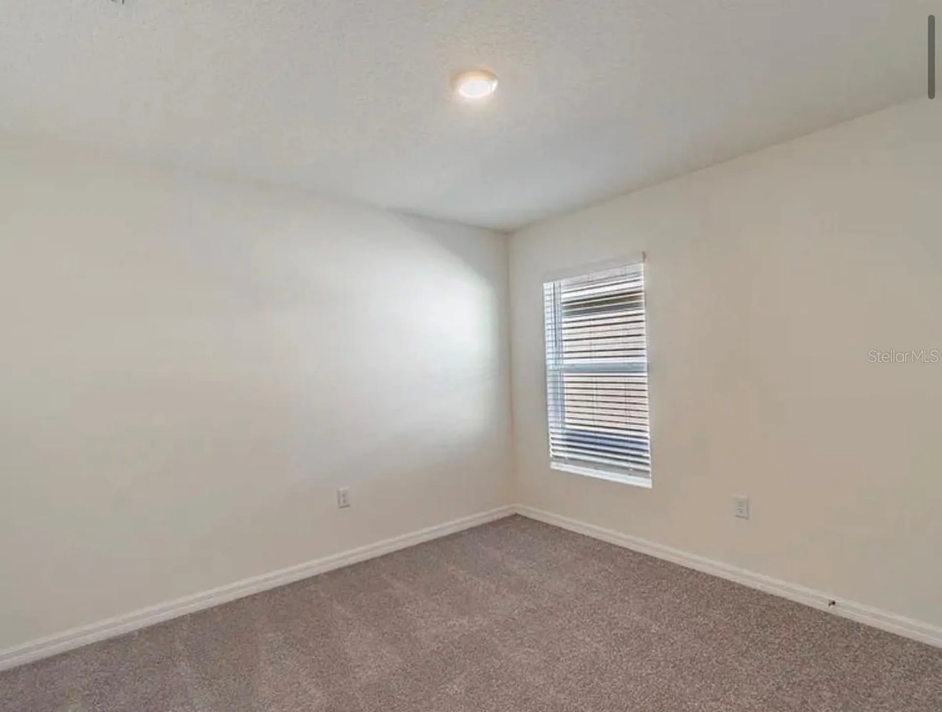 649 Sunlit Coral Street Ruskin FL 33570