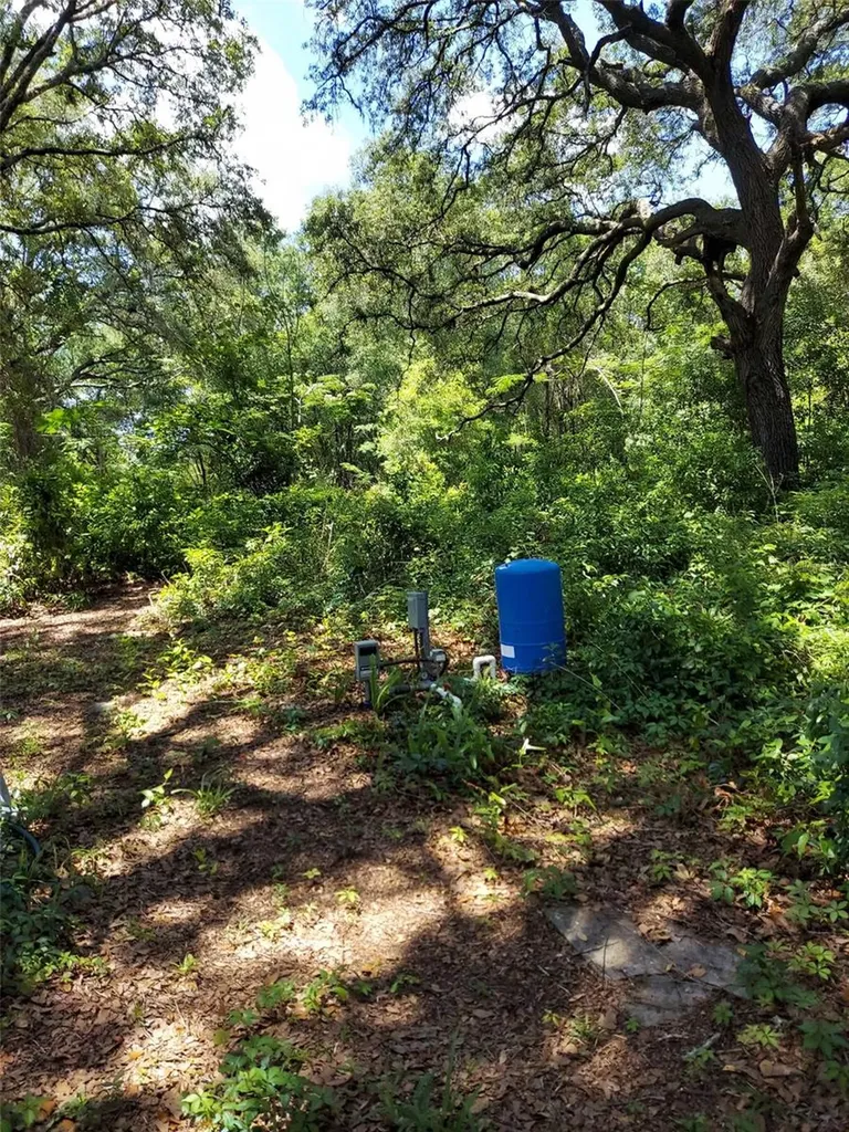 14061 SE 117th Place Ocklawaha FL 32179