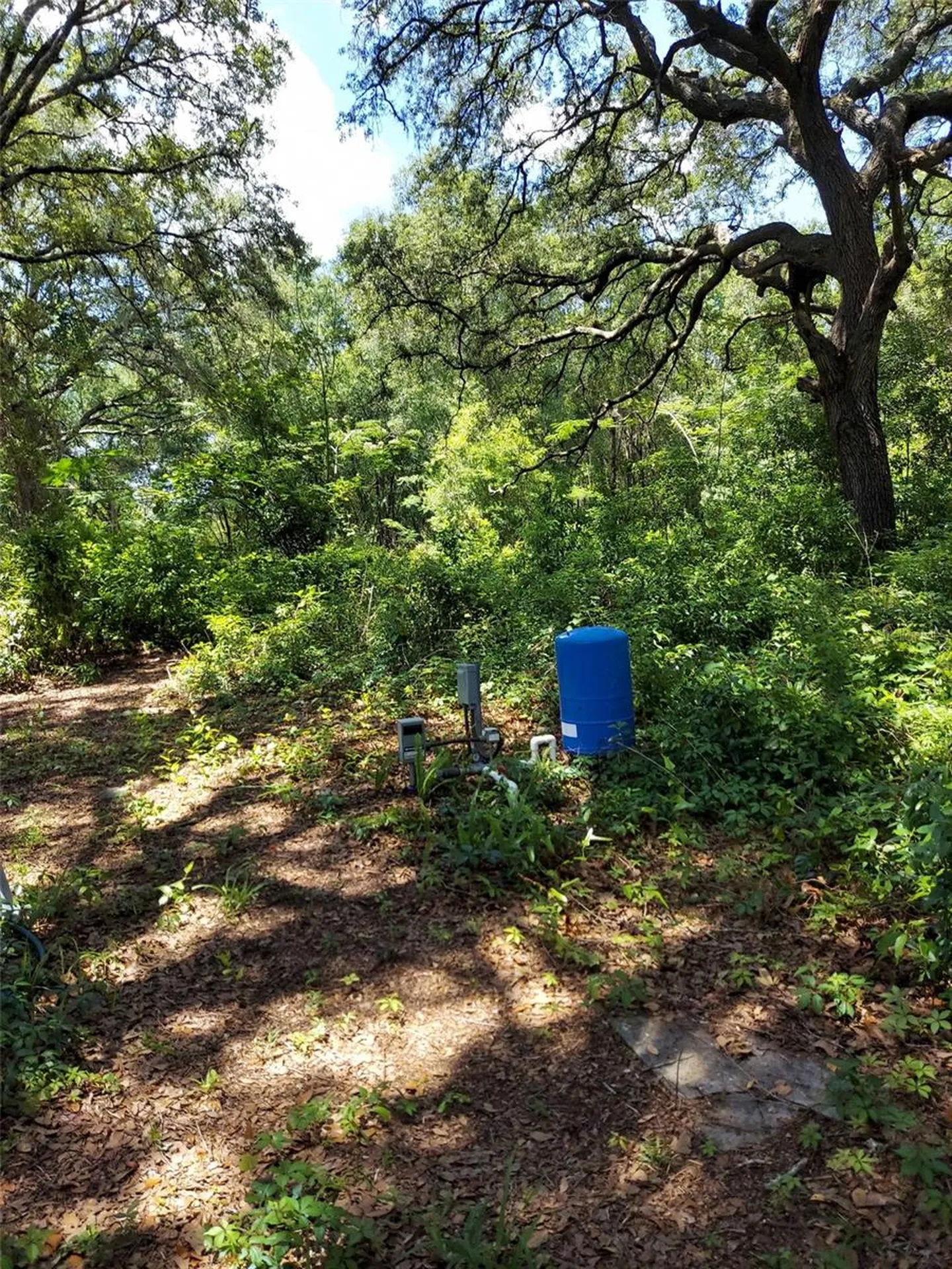 14061 SE 117th Place Ocklawaha FL 32179