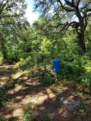 14061 SE 117th Place Ocklawaha FL 32179