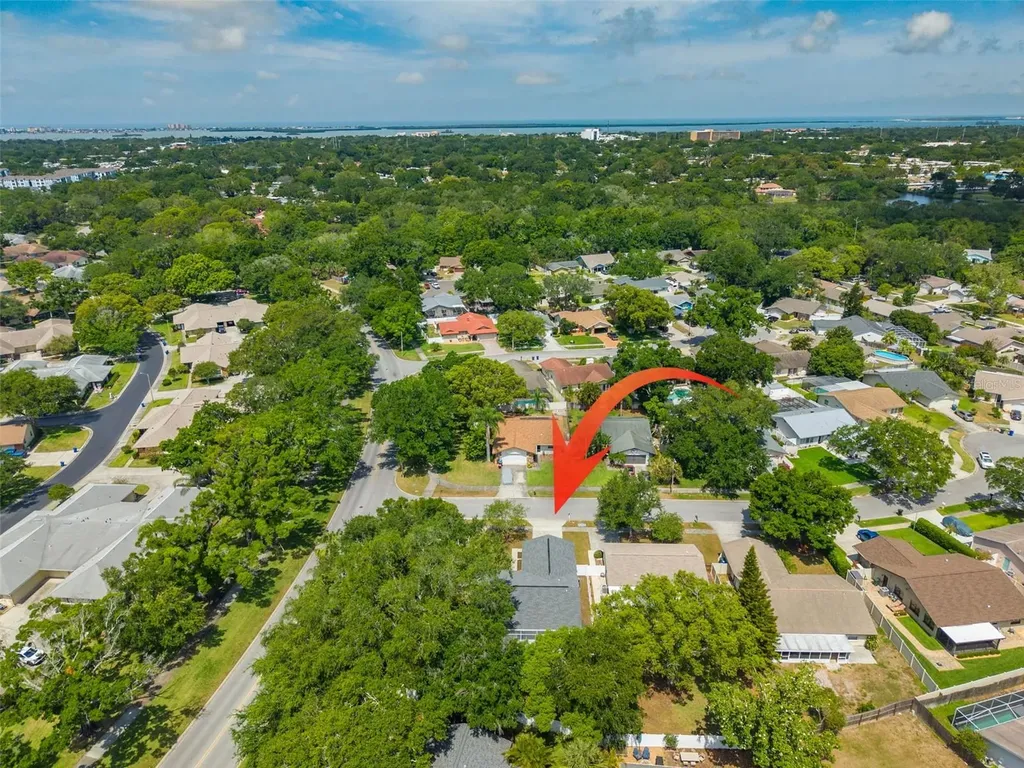 465 Belmist Court Dunedin FL 34698