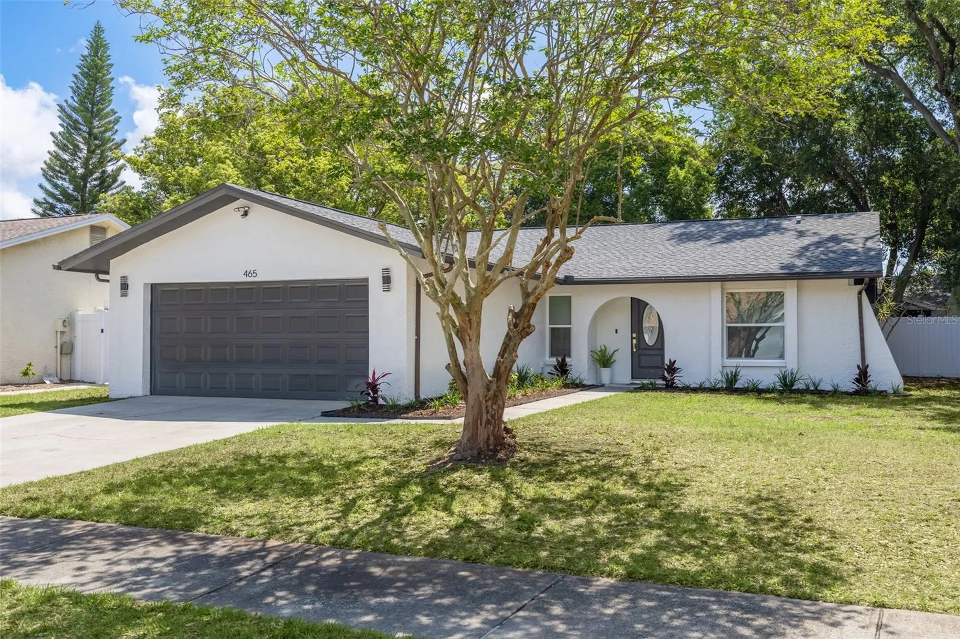 465 Belmist Court Dunedin FL 34698