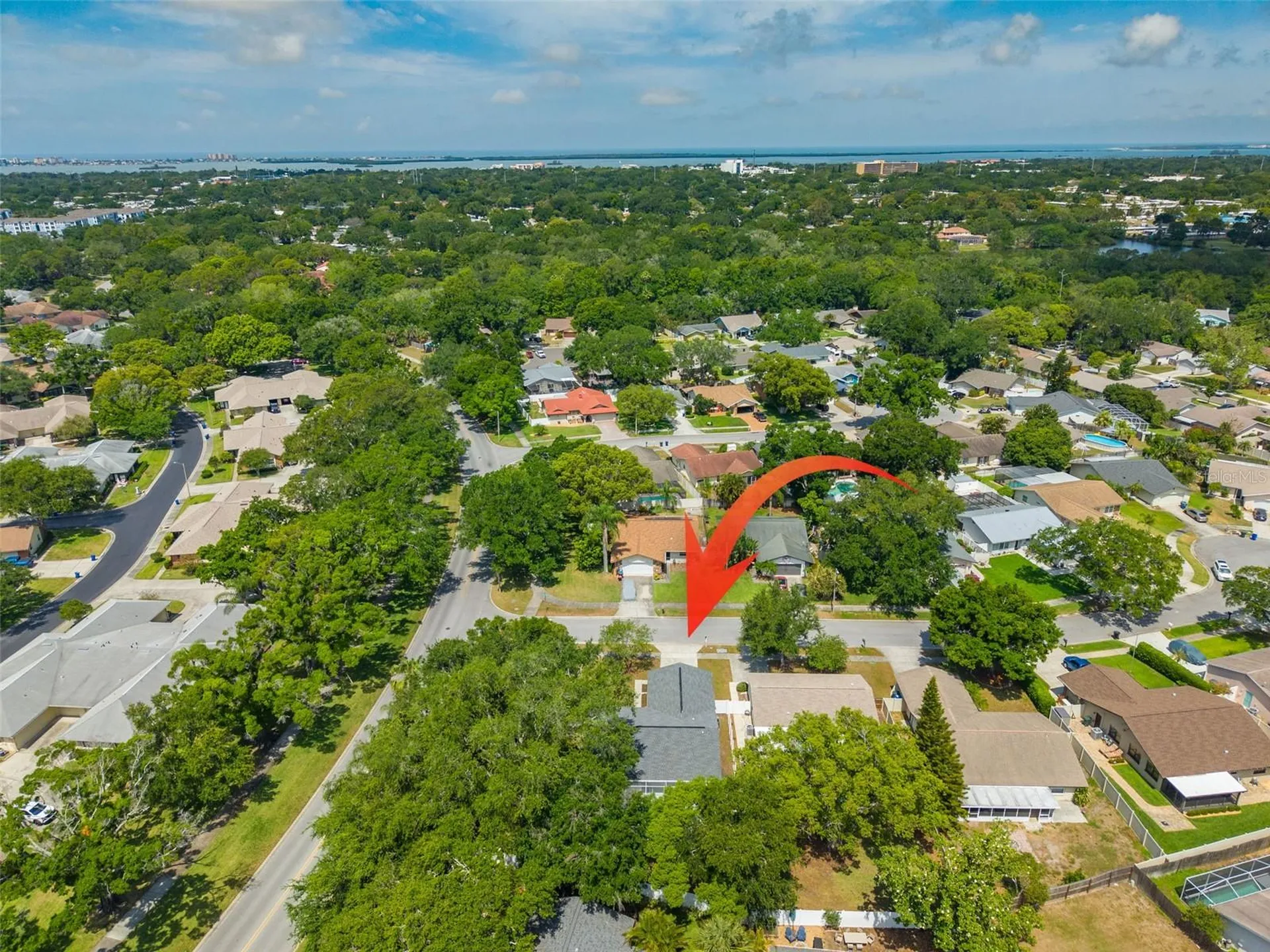 465 Belmist Court Dunedin FL 34698