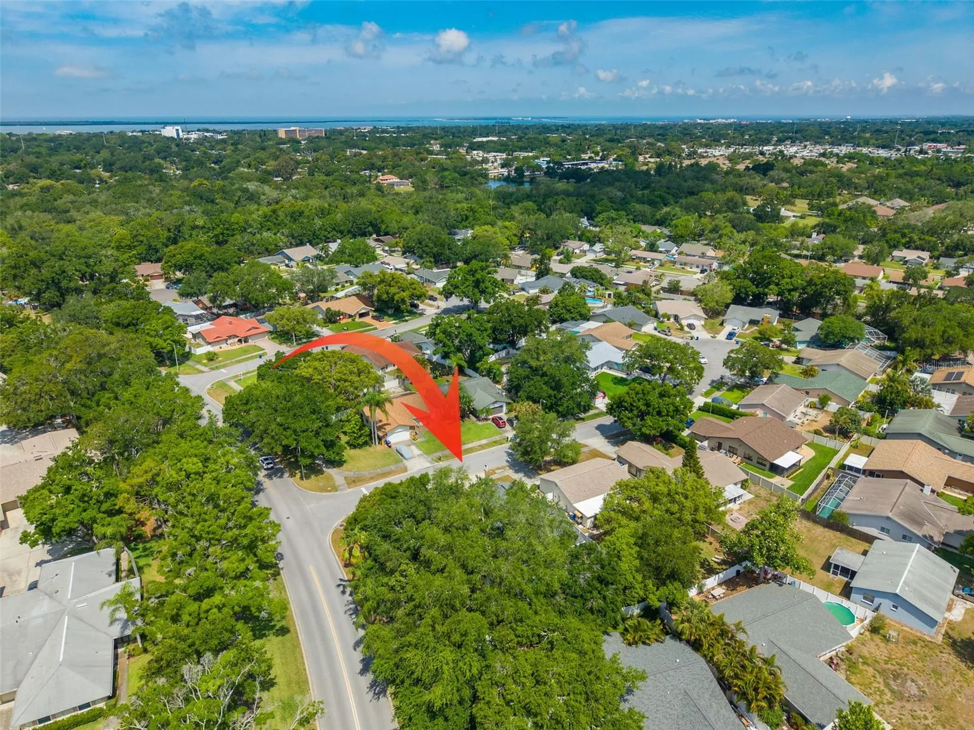 465 Belmist Court Dunedin FL 34698