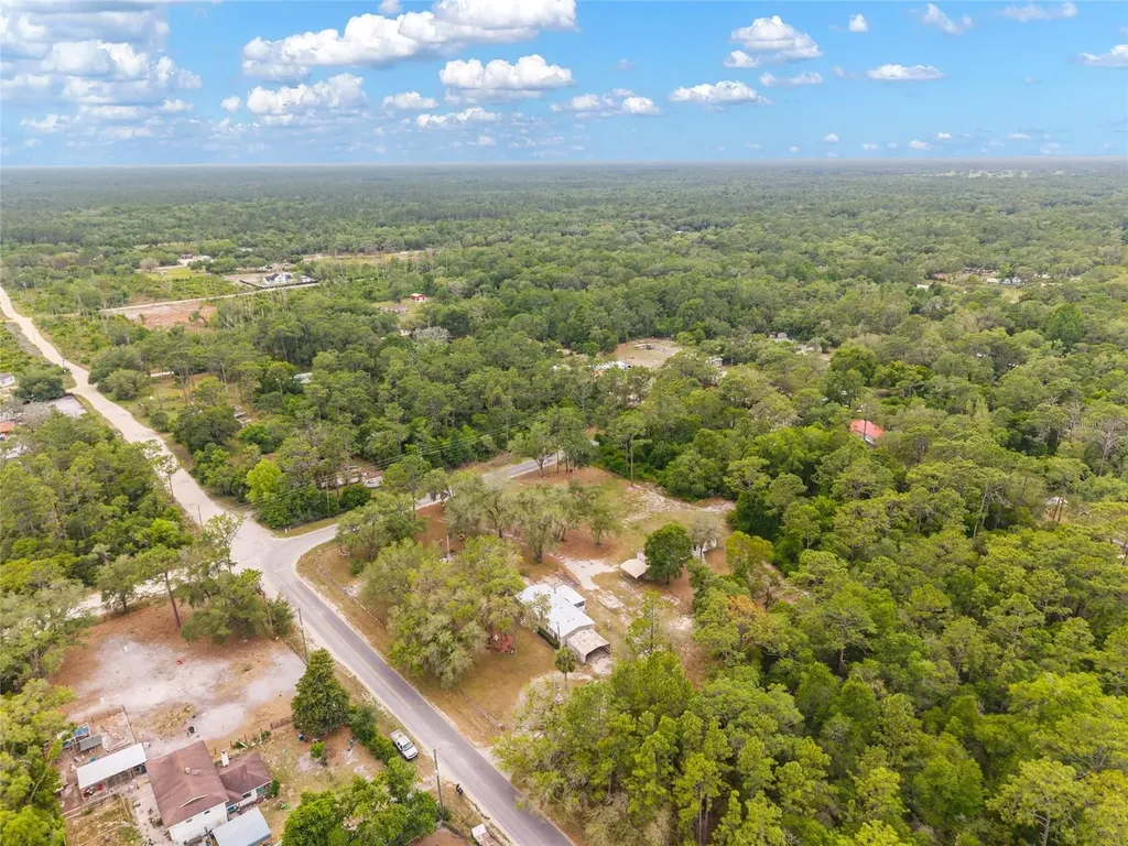 15460 SW 85th Avenue Dunnellon FL 34432