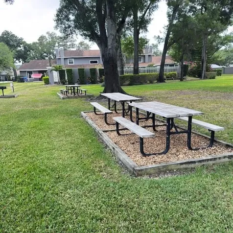 10128 Lake Oak Circle Tampa FL 33624