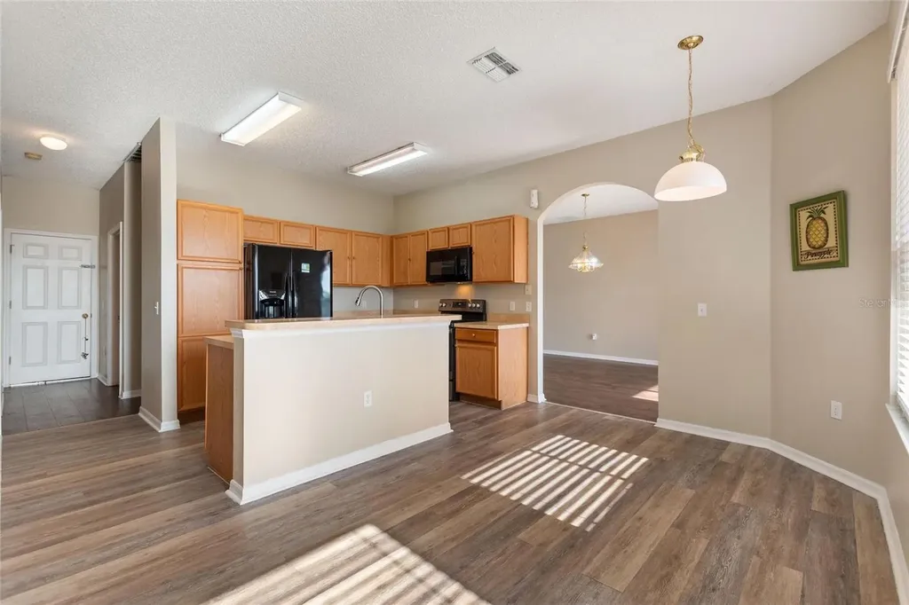 169 Big Black Drive Kissimmee FL 34759