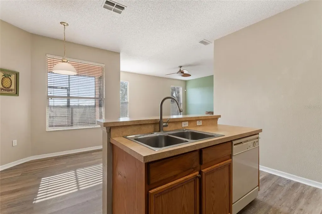 169 Big Black Drive Kissimmee FL 34759