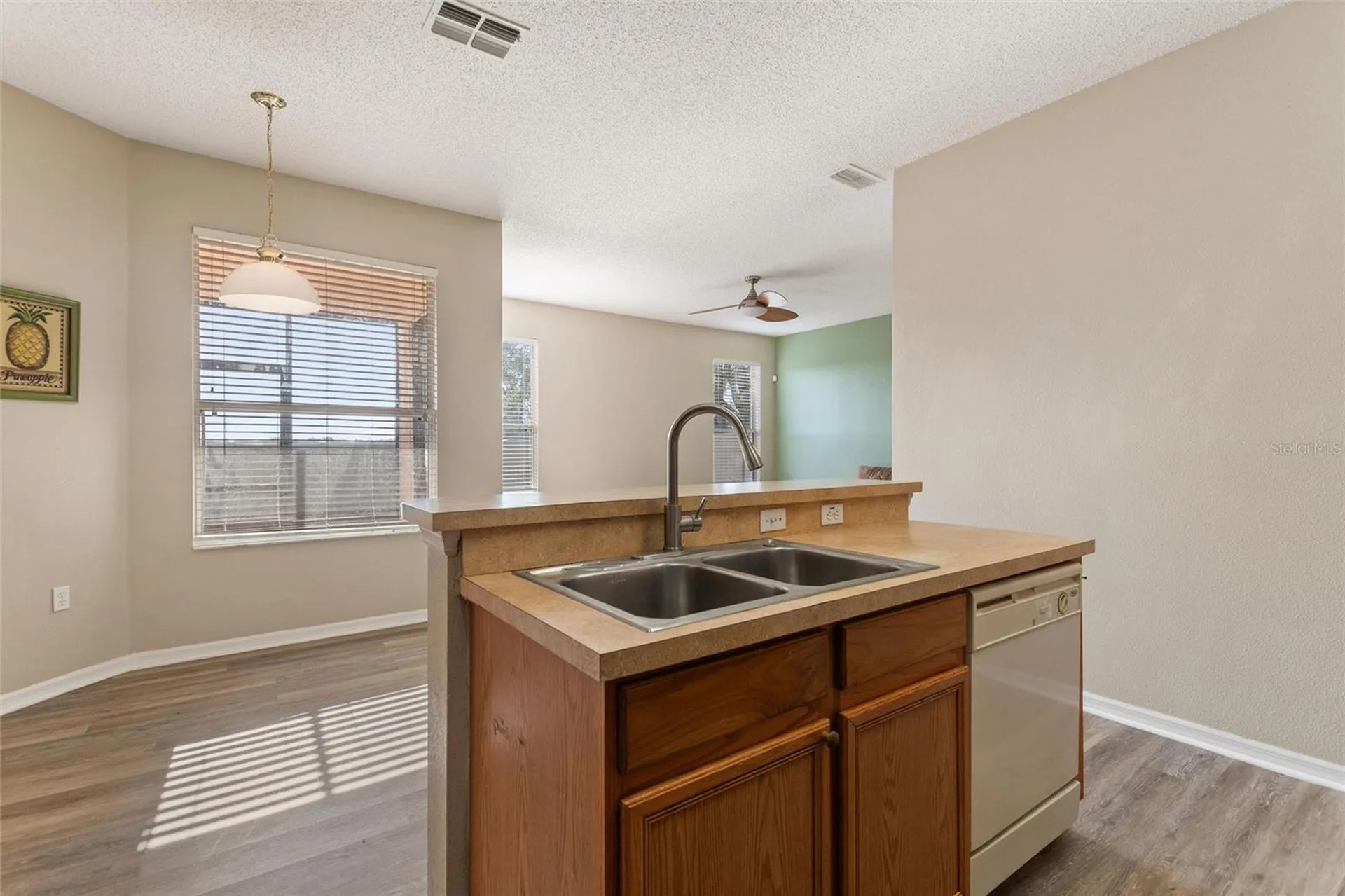169 Big Black Drive Kissimmee FL 34759