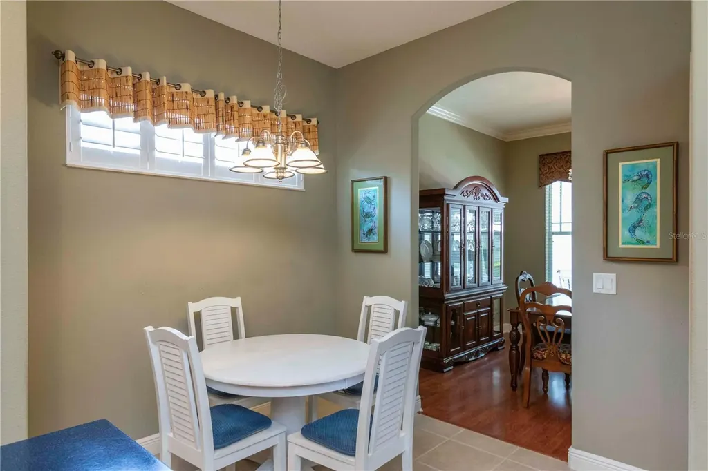 3746 Dogtrot Street New Port Richey FL 34655