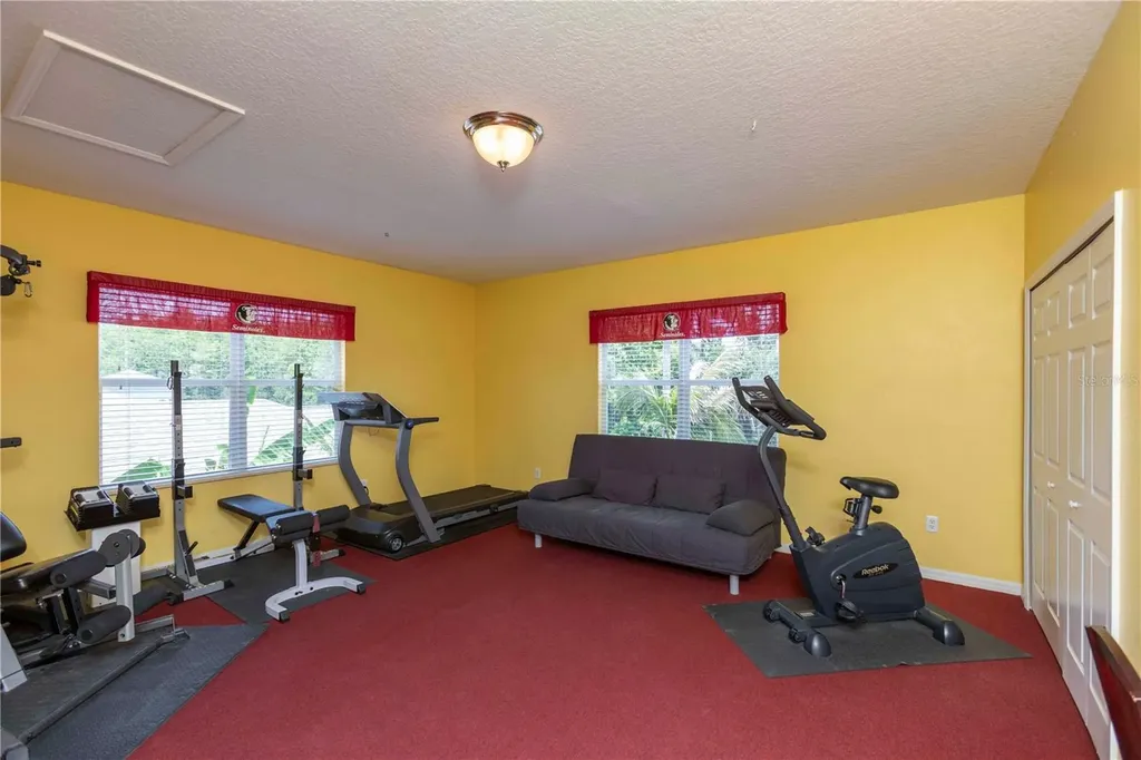 3746 Dogtrot Street New Port Richey FL 34655