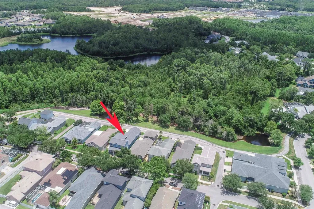 3746 Dogtrot Street New Port Richey FL 34655
