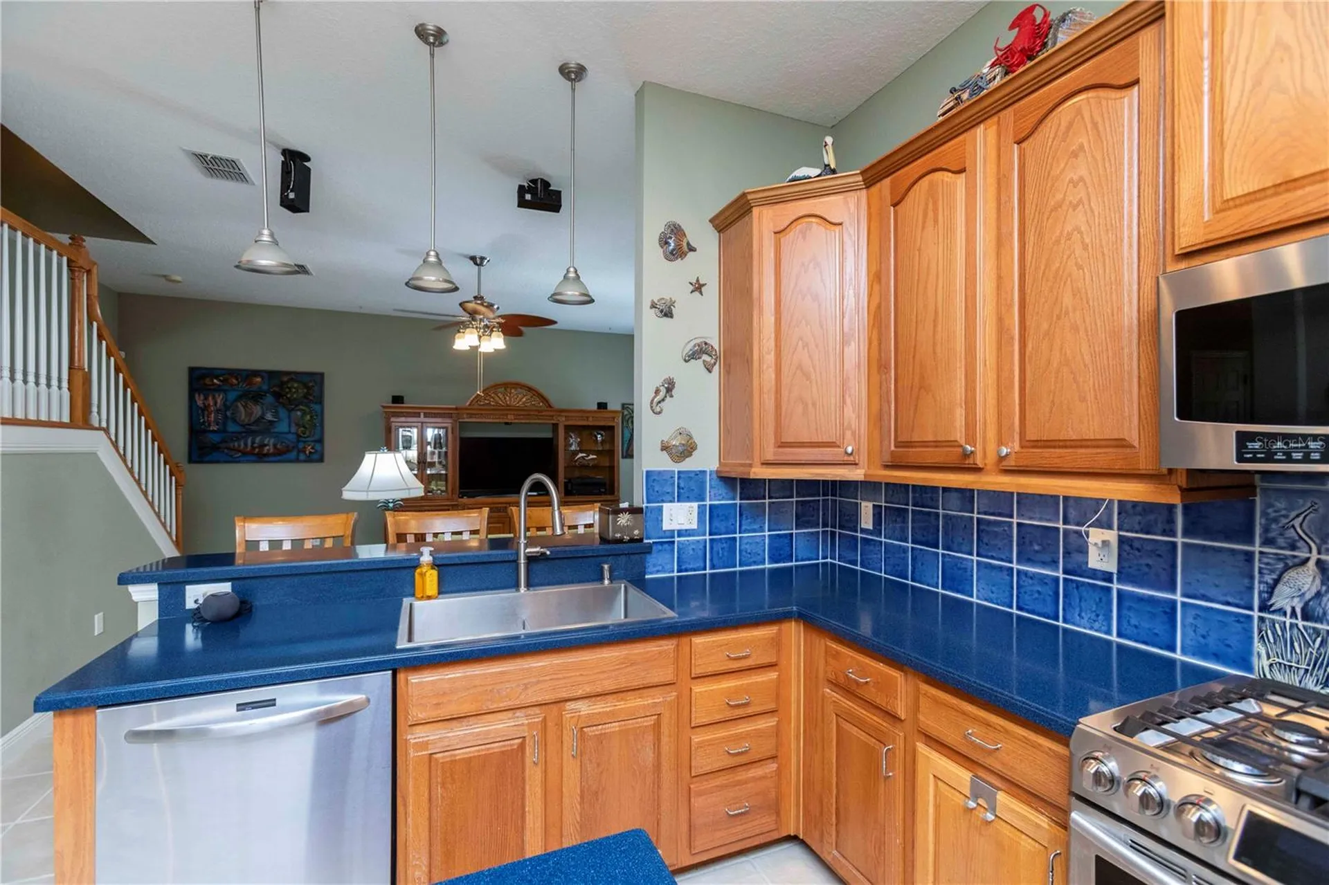 3746 Dogtrot Street New Port Richey FL 34655