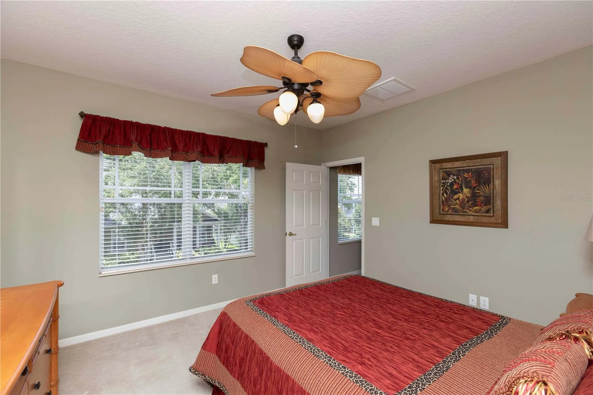 3746 Dogtrot Street New Port Richey FL 34655
