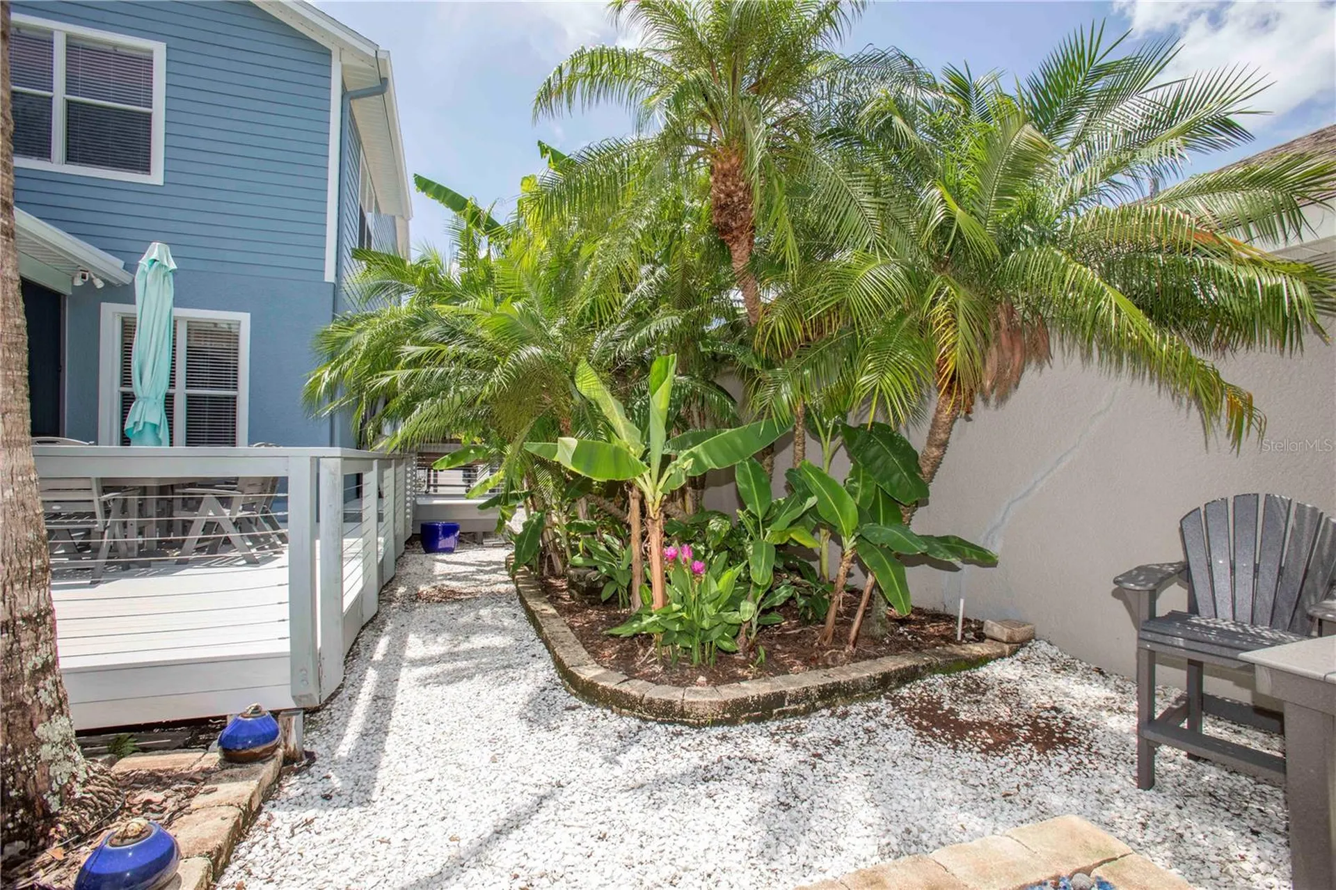 3746 Dogtrot Street New Port Richey FL 34655
