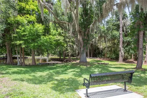 3746 Dogtrot Street New Port Richey FL 34655