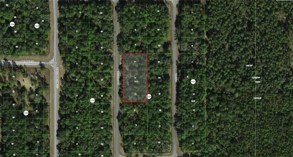 9285 N Irondale Road Dunnellon FL 34434