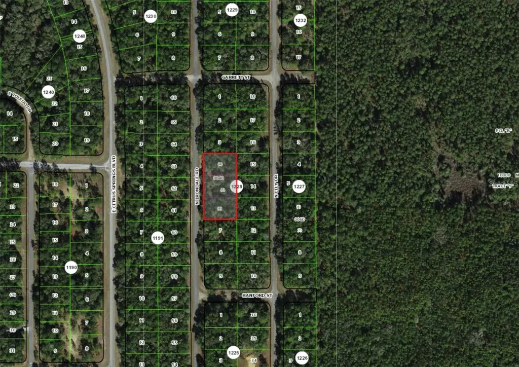 9285 N Irondale Road Dunnellon FL 34434