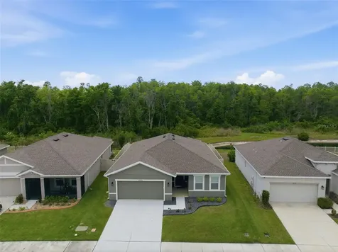 10325 Gliding Eagle Way Land O Lakes FL 34638