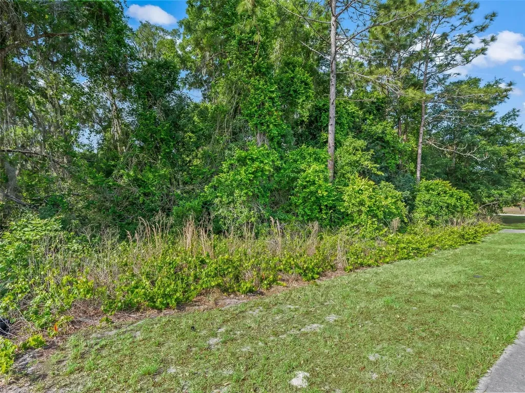 2823 W C 48 Bushnell FL 33513