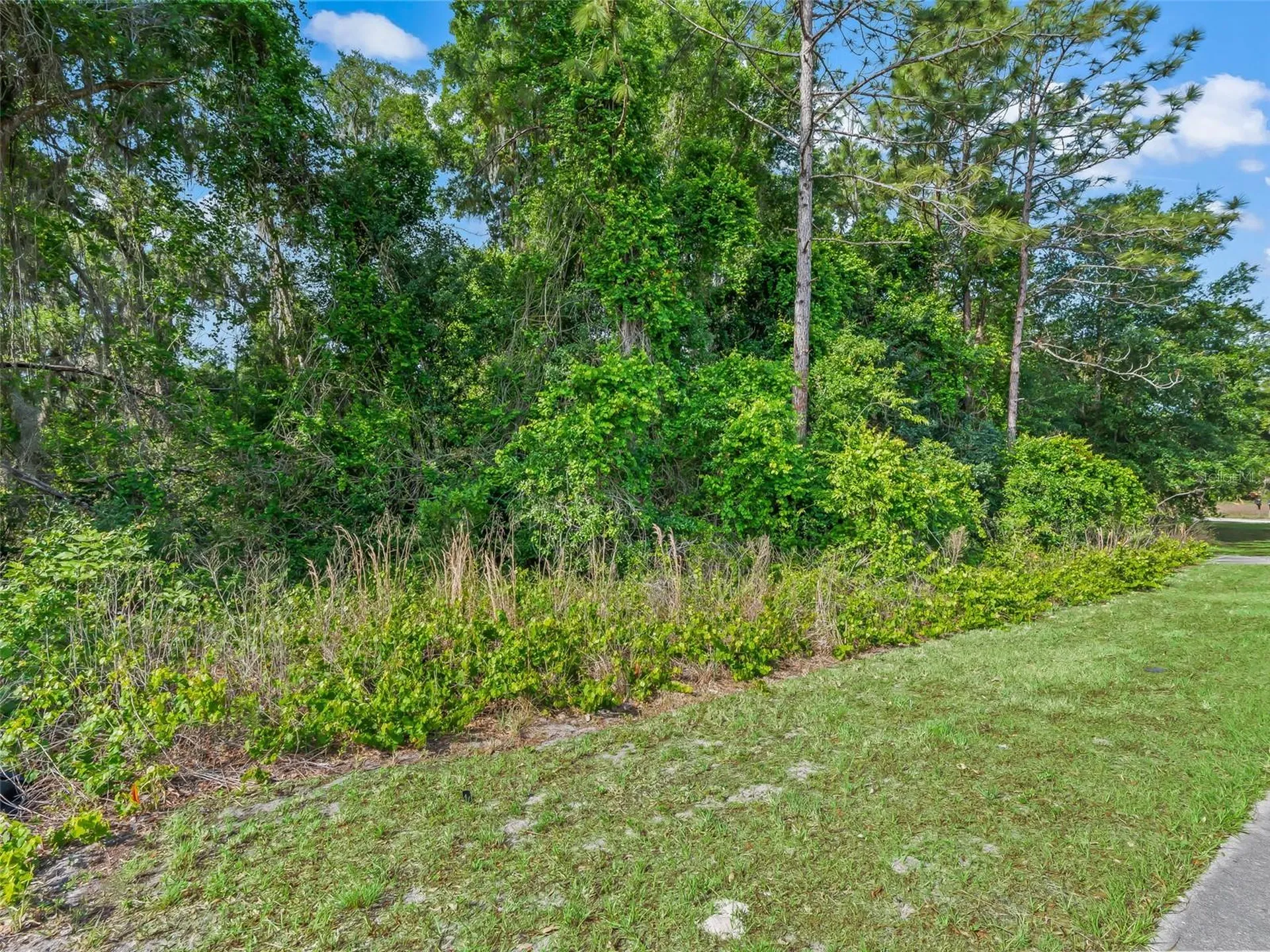 2823 W C 48 Bushnell FL 33513