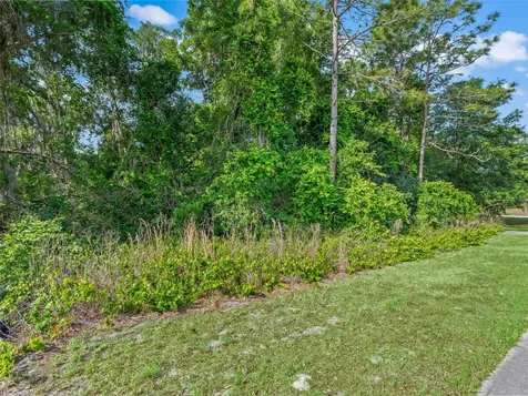 2823 W C 48 Bushnell FL 33513
