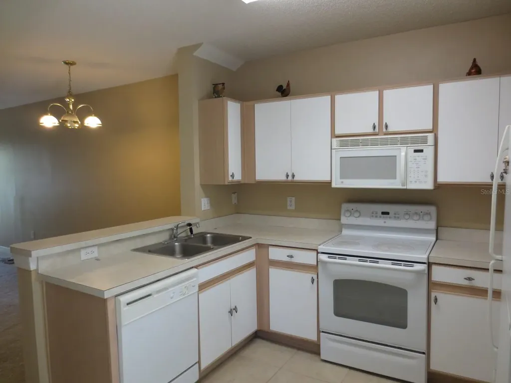 6252 Osprey Lake Circle Riverview FL 33578