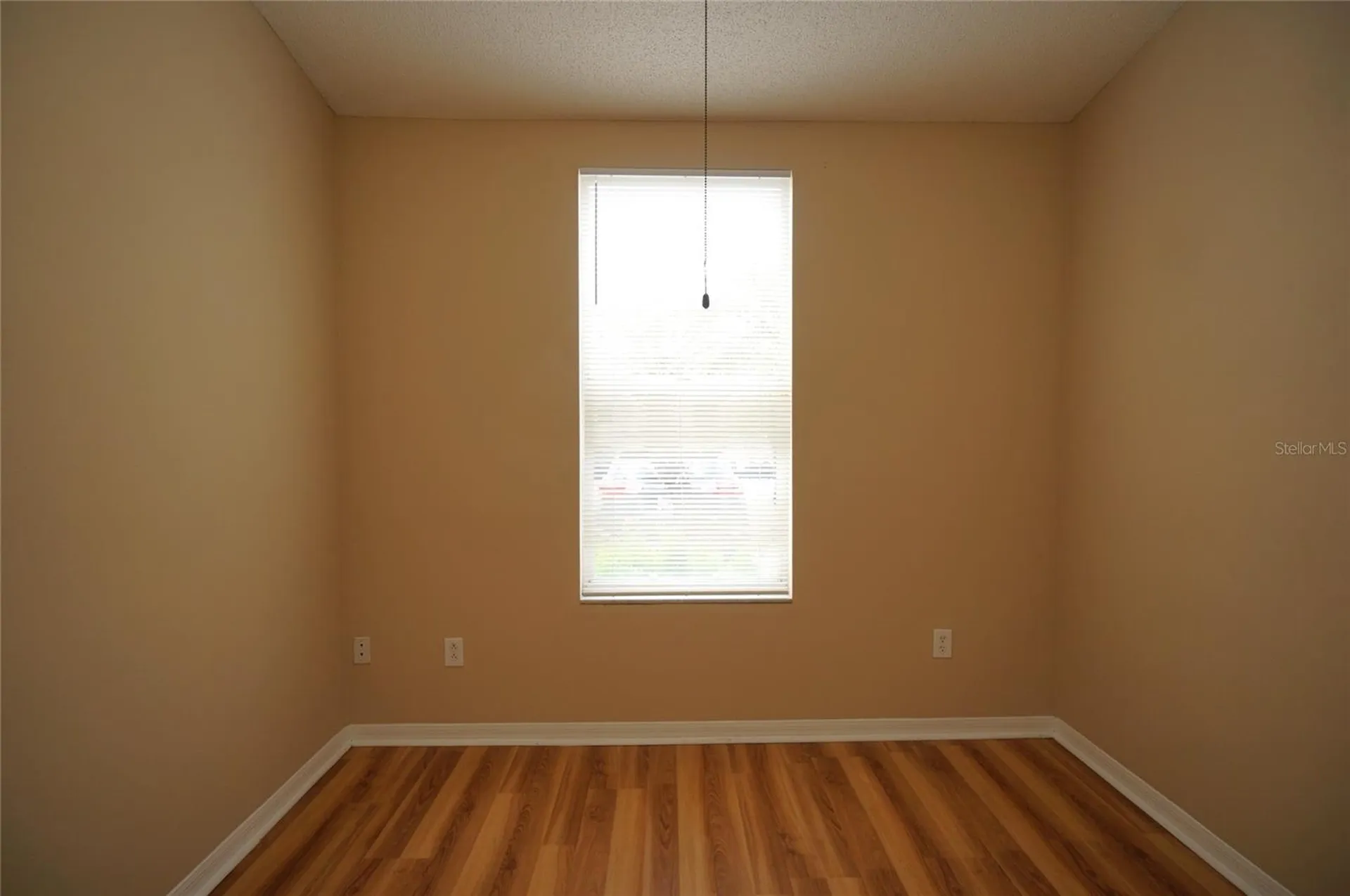 6252 Osprey Lake Circle Riverview FL 33578