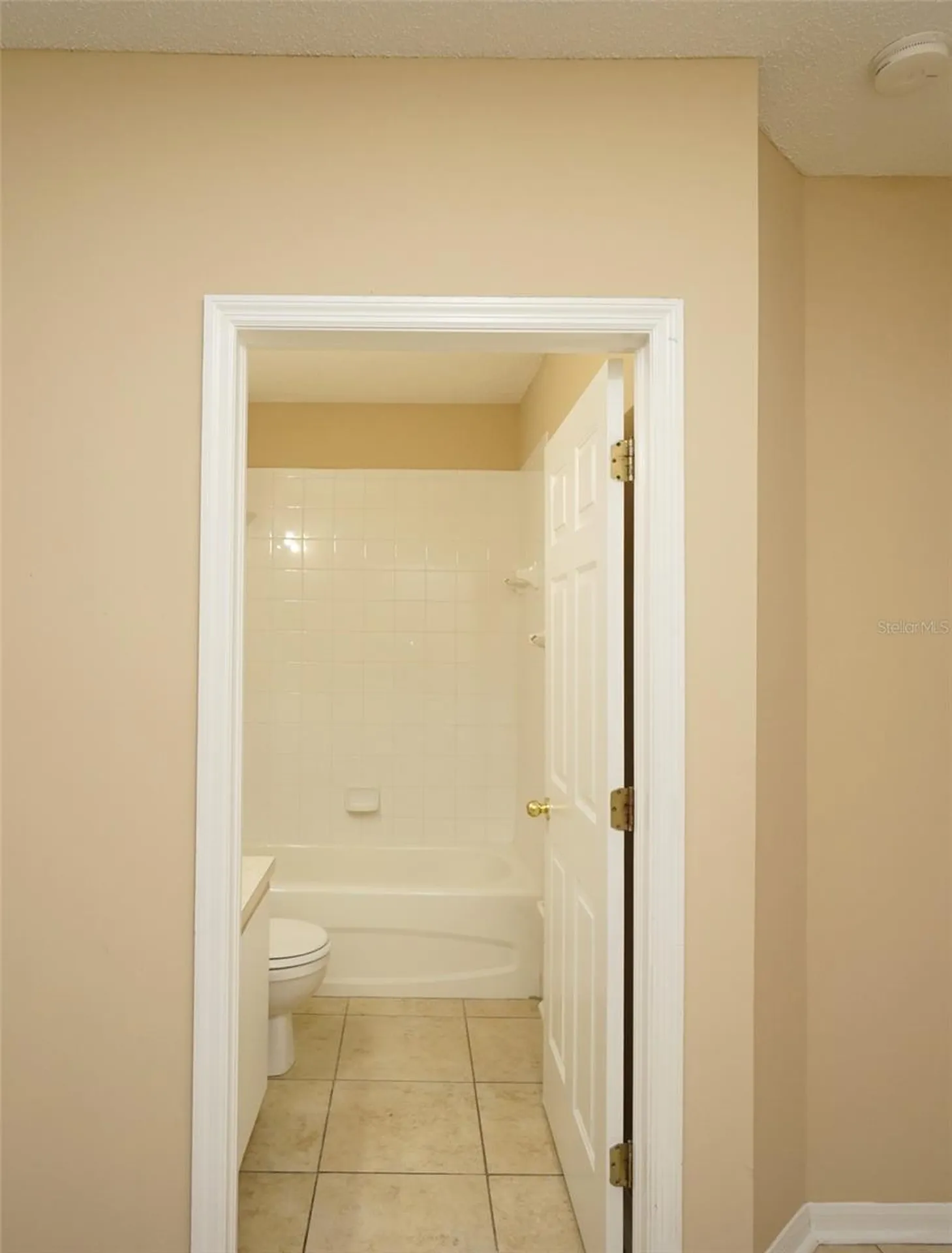 6252 Osprey Lake Circle Riverview FL 33578