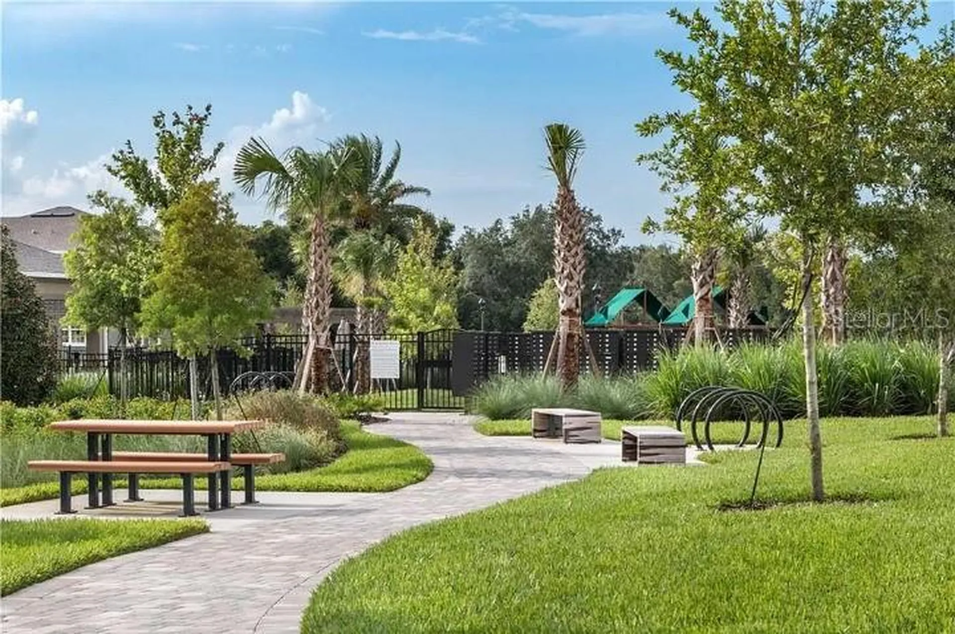 6224 Aralia Ivy Lane Winter Garden FL 34787