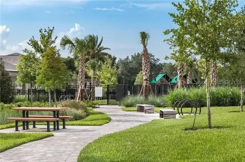 6224 Aralia Ivy Lane Winter Garden FL 34787