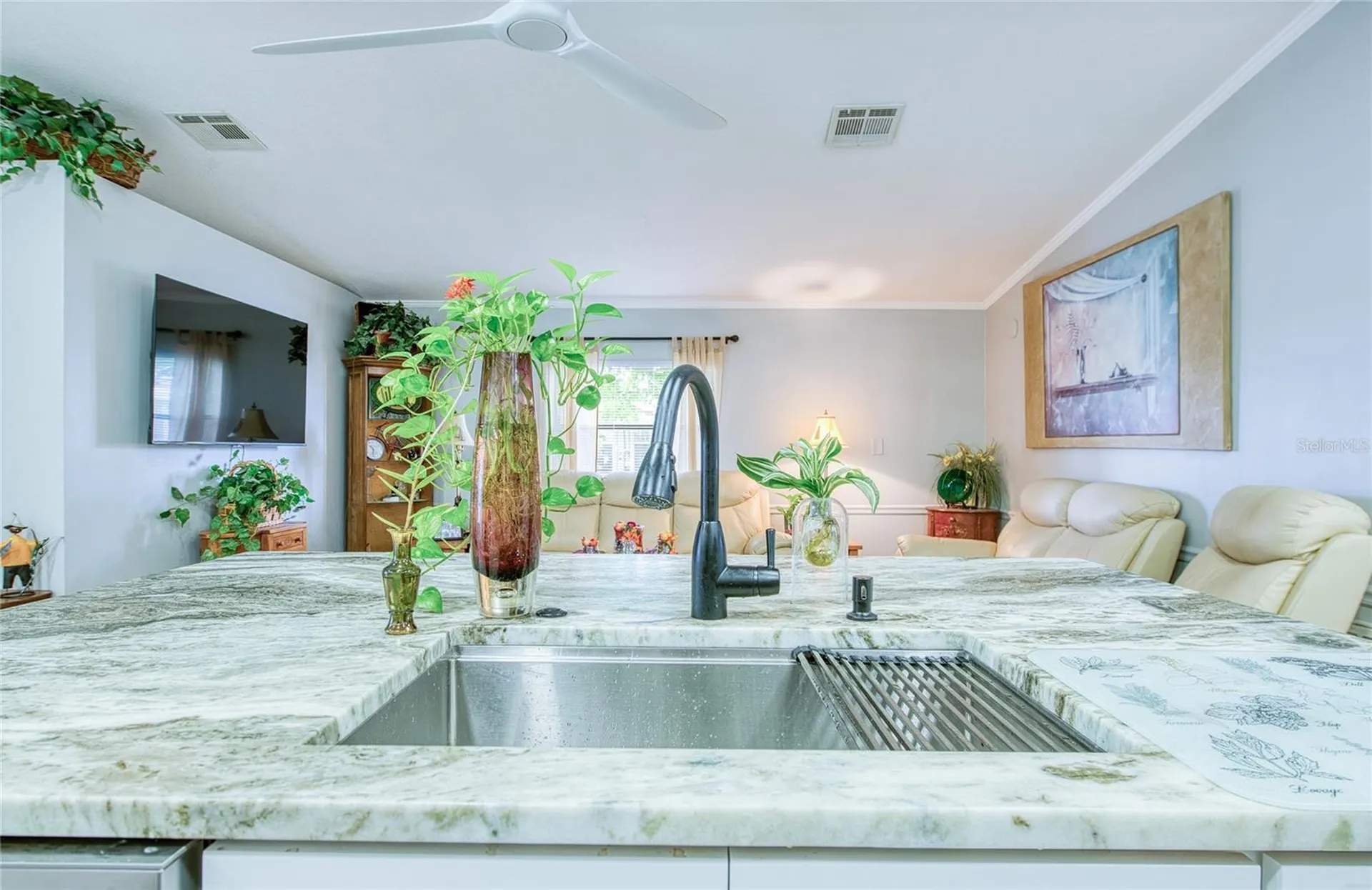 417 Dolphin Drive S Oldsmar FL 34677