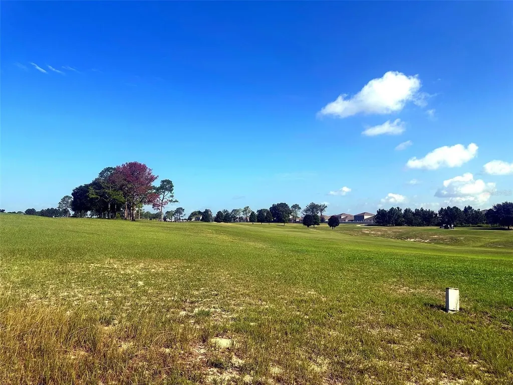 3496 Greenbluff Road Zellwood FL 32798