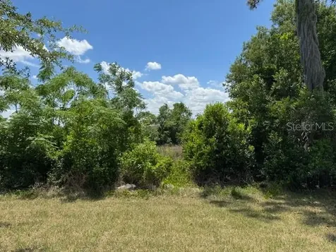 3200 Winged Foot Road Mount Dora FL 32757