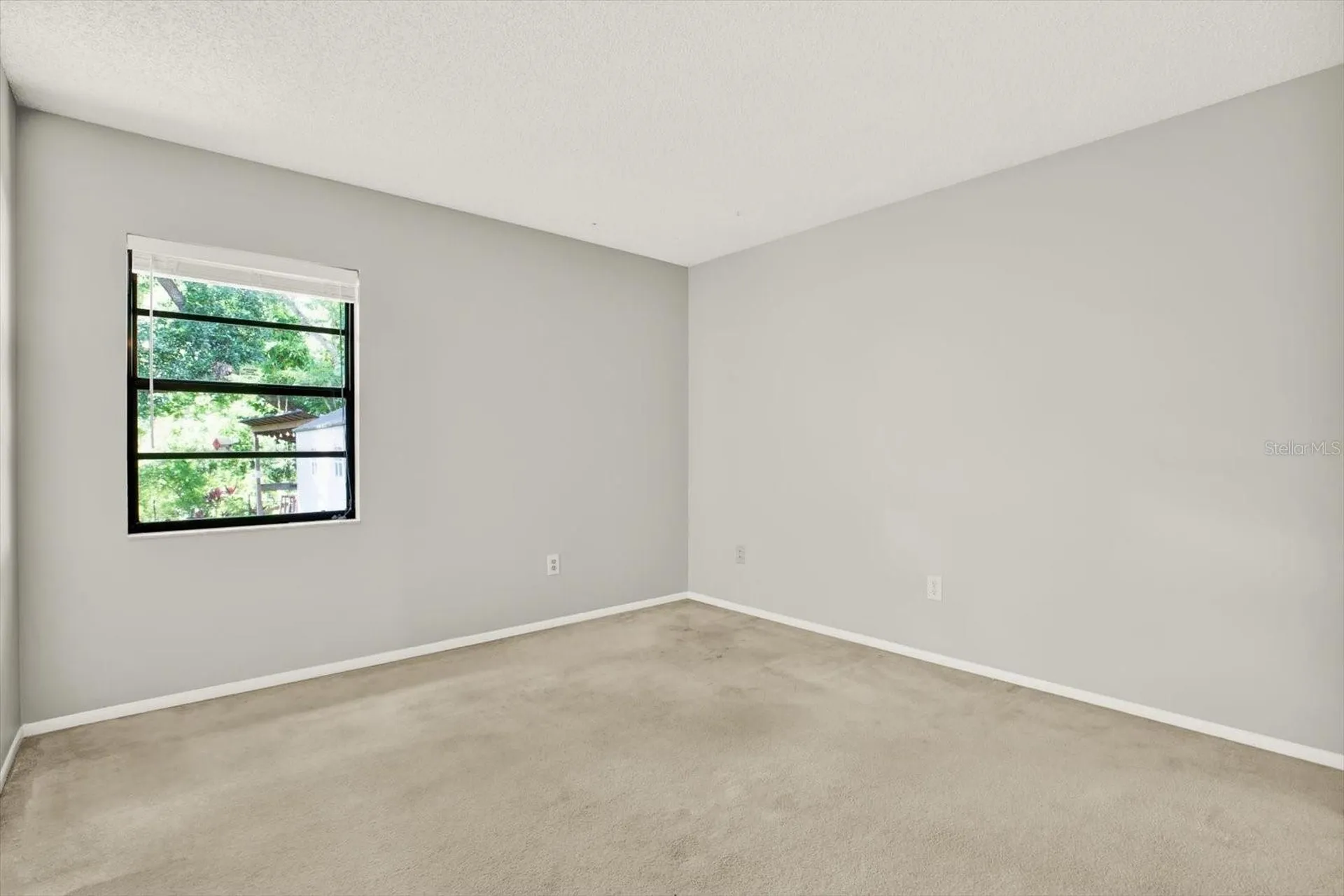 12320 Witheridge Drive Tampa FL 33624