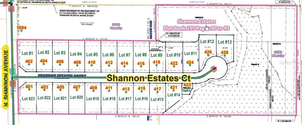 411 Shannon Estates Court Plant City FL 33563
