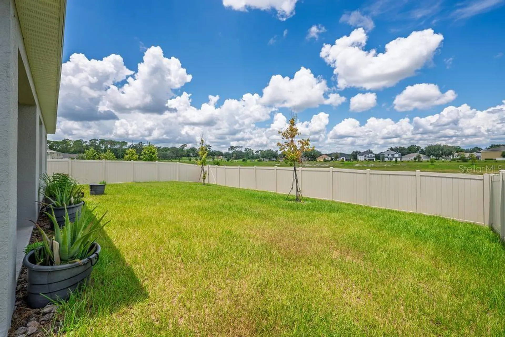 33470 Always Dreaming Court Sorrento FL 32776