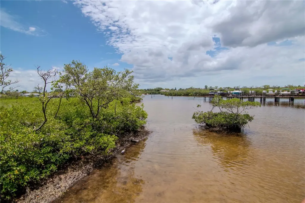 4516 Seagull Drive New Port Richey FL 34652