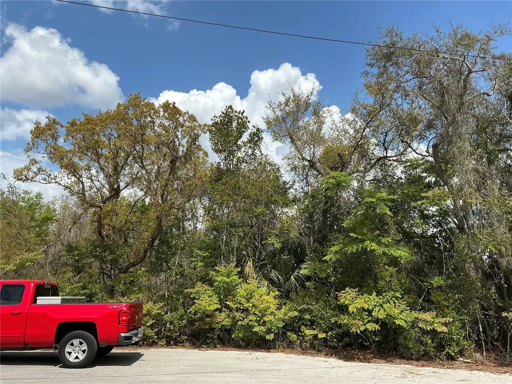 Ash Pass Run Ocala FL 34472
