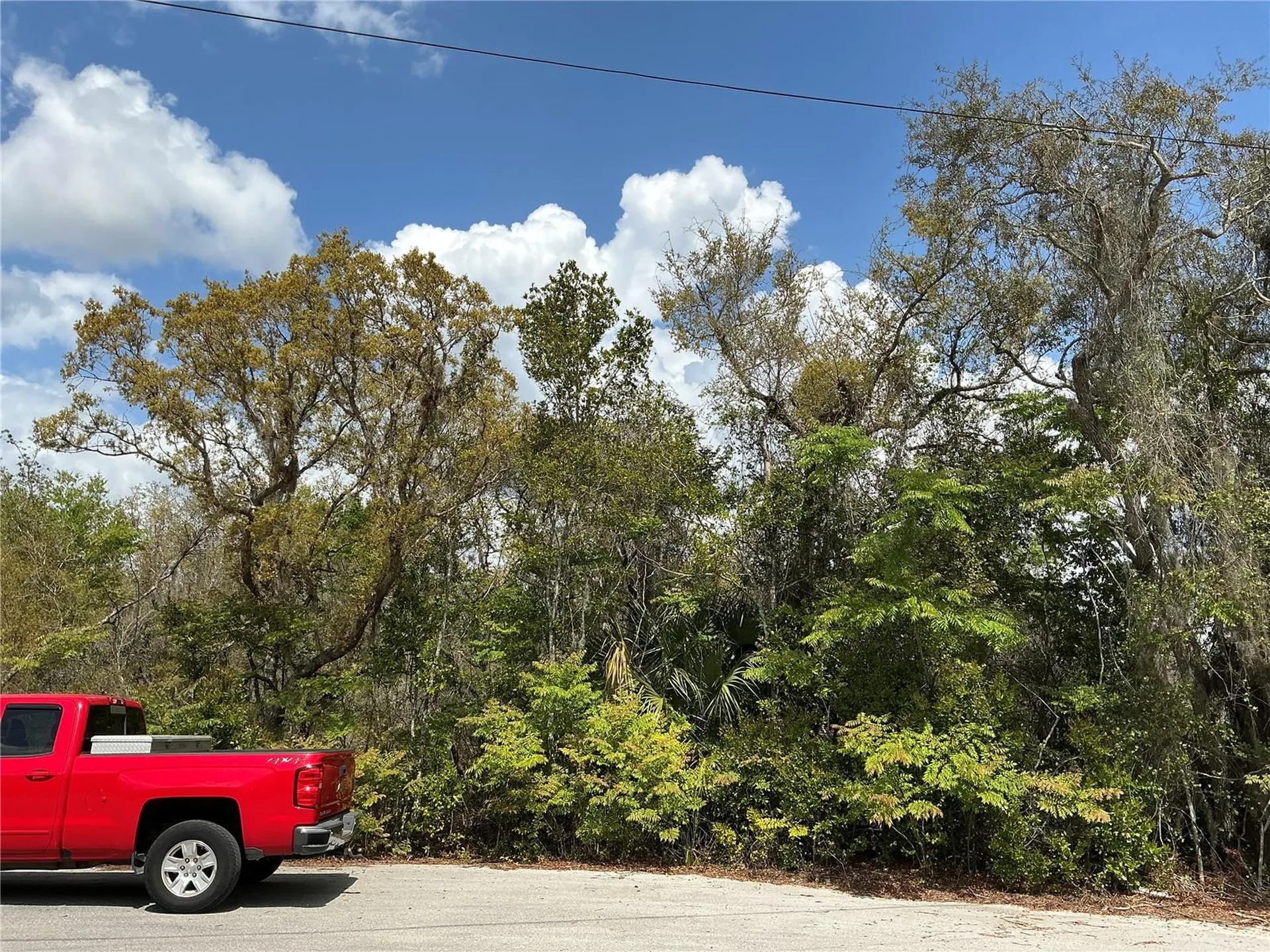 Ash Pass Run Ocala FL 34472