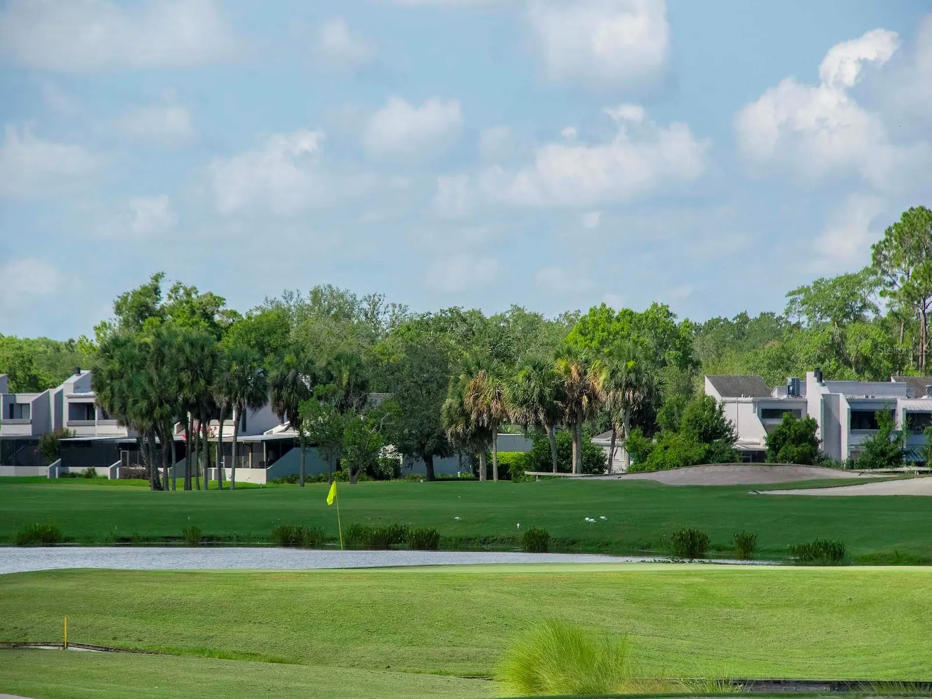 13941 Clubhouse Drive Tampa FL 33618