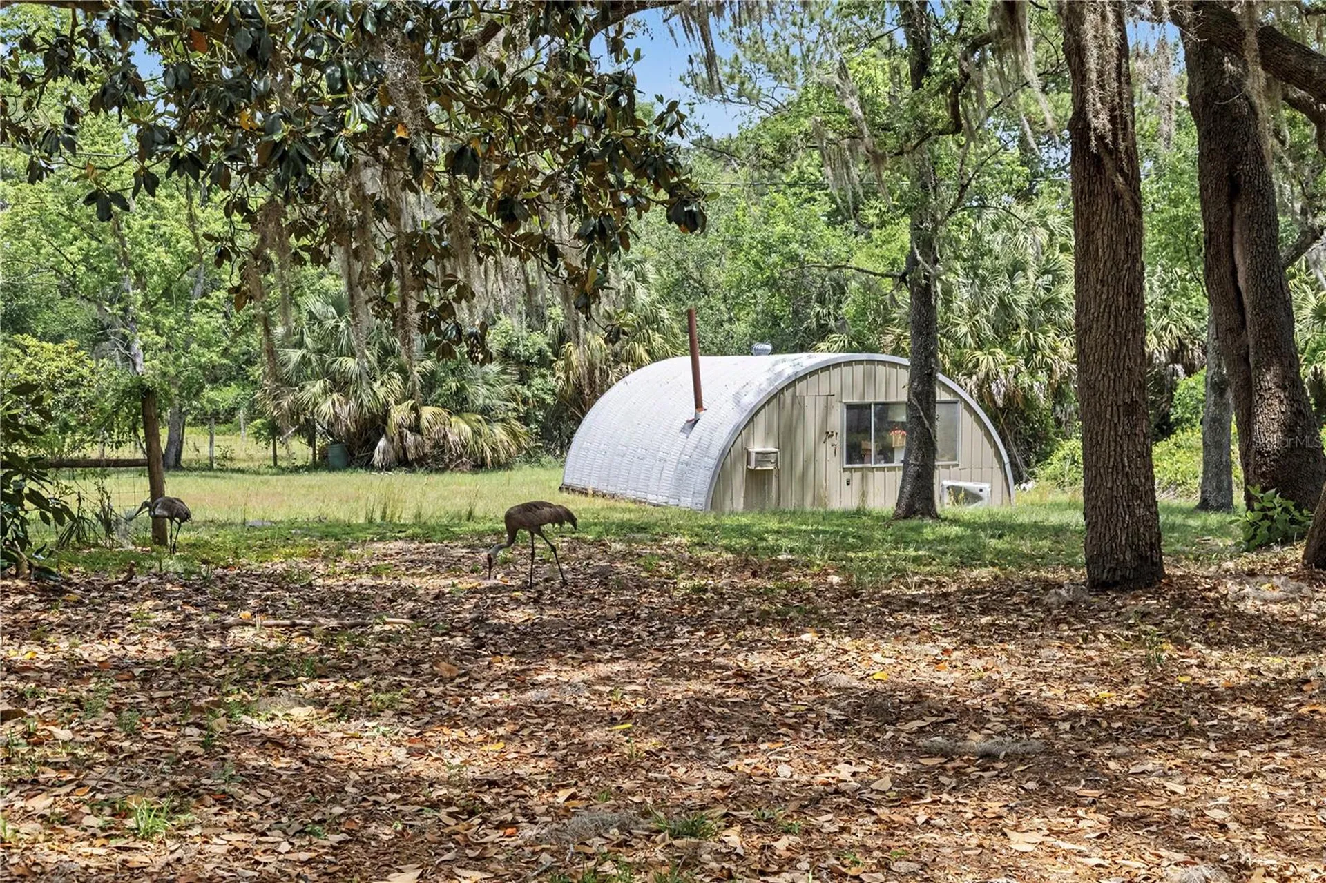 18007 SE 90th Street Ocklawaha FL 32179