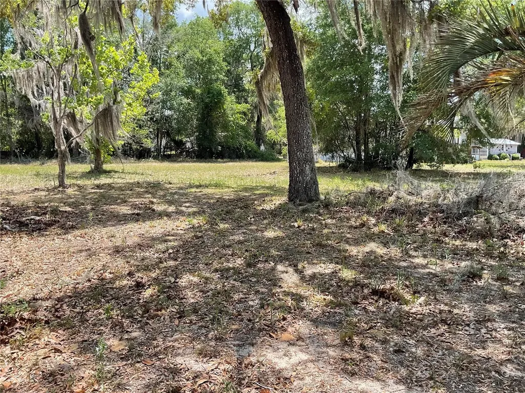 24642 NE 177th Terrace Fort Mc Coy FL 32134
