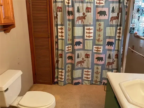24642 NE 177th Terrace Fort Mc Coy FL 32134
