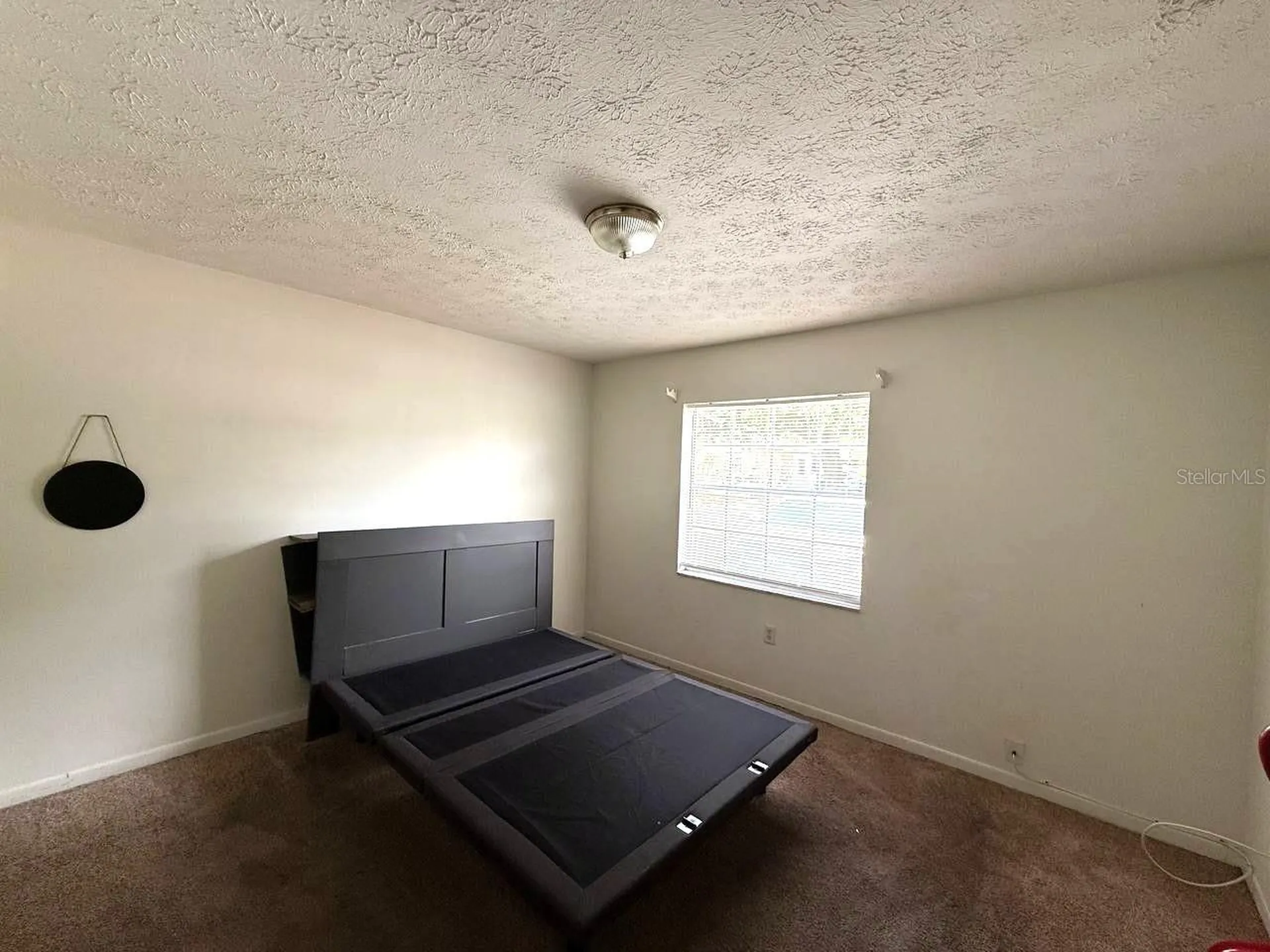 8505 N Tampa Street Tampa FL 33604