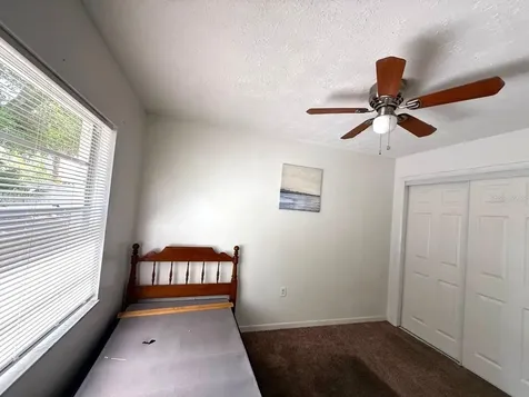 8505 N Tampa Street Tampa FL 33604