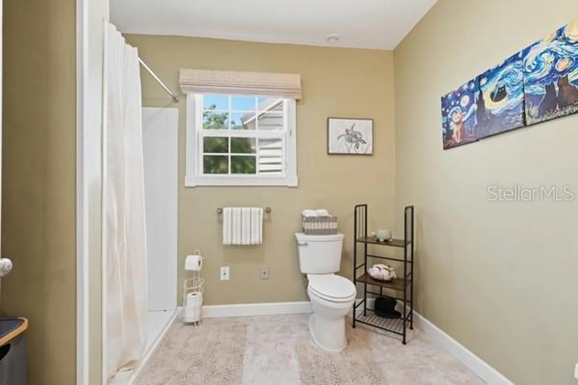 511 E Mirror Lake Drive Fruitland Park FL 34731